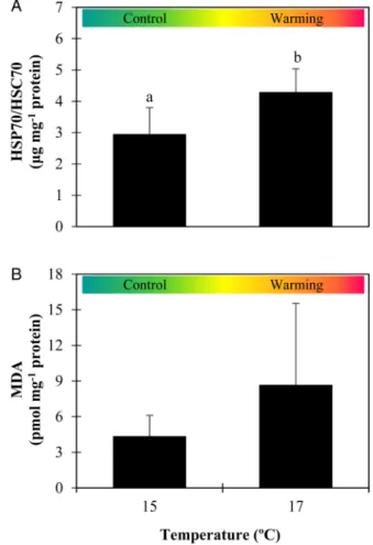 Figure 6:  Impact of warming on the heat shock response and lipid  peroxidation of Sardina pilchardus larvae