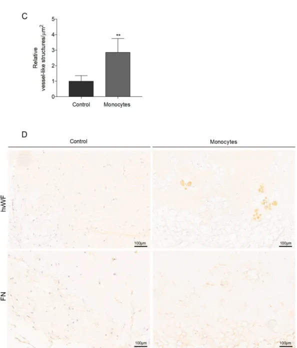 Figure 3. Cont.