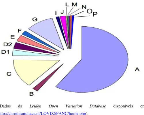 Figura 5. Gráfico ilustrativo da distribuição das frequências das mutações nos  genes relacionados com a Anemia de Fanconi  