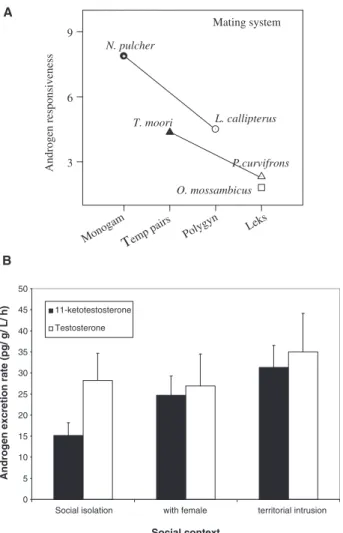Fig. 3 Androgen response to social interactions in cichlid fish;