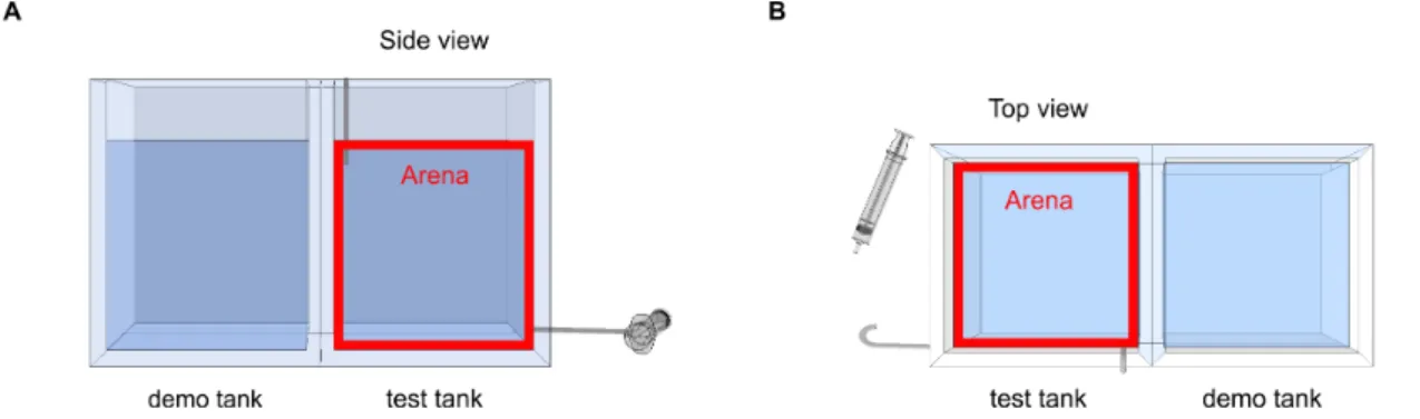 Figure 2 | Side and top view of 2D arenas. 