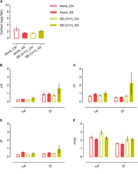 Figure 5 | Social buffering of the stress response in zebrafish. 