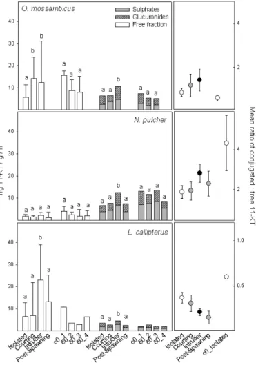 Figure 3. Patterns of 11-KT in fish-holding water during the four experimental days in the five species tested: social isolation (A, first day), courting (B, second day), male intruder (C, third day), and ‘post-spawning’ after 24 h interaction with the fem