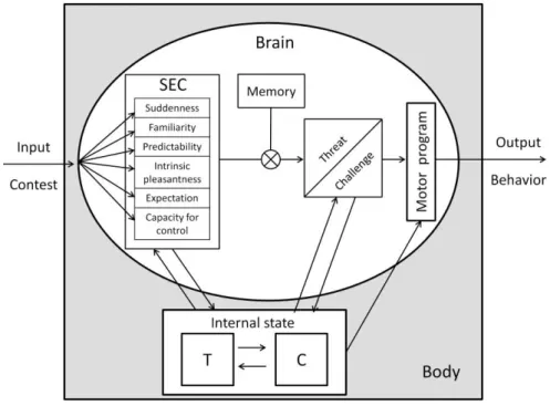 Figure 2. Hypothetical representation of the interaction between hormones and cognition,  from contest appraisal to behavioral response