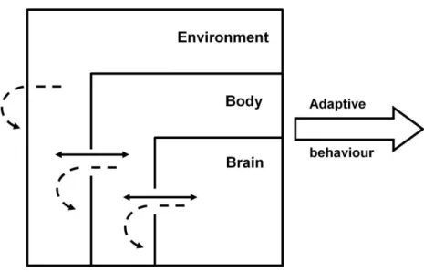 Figure  3.  Schematic  representation  of  the  situated-dynamic-embodied  framework  with  adaptive  behavior  resulting  from  the  emergent  characteristics  of  brain-body-environment  coupling  and  not  from  singular  contribution  of  the  componen