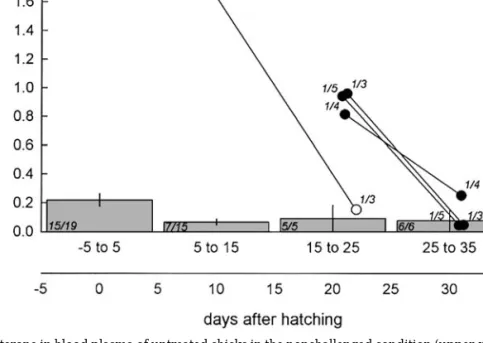 FIG. 1. Basal levels of testosterone in blood plasma of untreated chicks in the nonchallenged condition (upper x axis; bars) and the challenged condition (lower x axis; white dots: Large Group Challenge condition; black dots: Territorial Challenge conditio