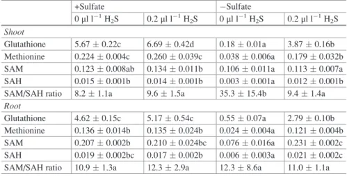 Table 3 Impact of H 2 S and sulfate deprivation on the content of glutathione and metabolites of activated methyl cycle in shoots and roots of Chinese cabbage