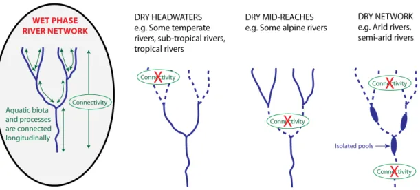 Figure 1. Examples of drying in temporary river basins, and how it interferes in river network connectivity  (Steward et al., 2012)