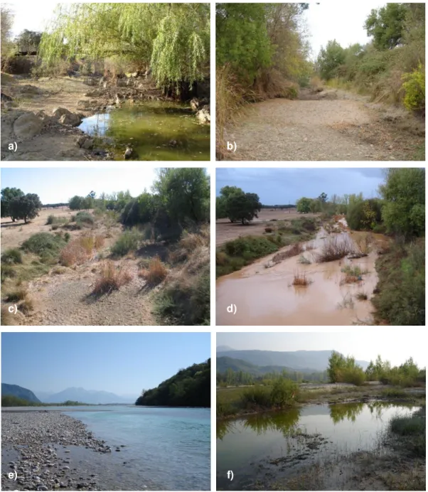 Figure 2. Different  phases  of  Mediterranean  temporary  rivers:  Pardiela  Stream  (SE  Portugal)  detail  of: 