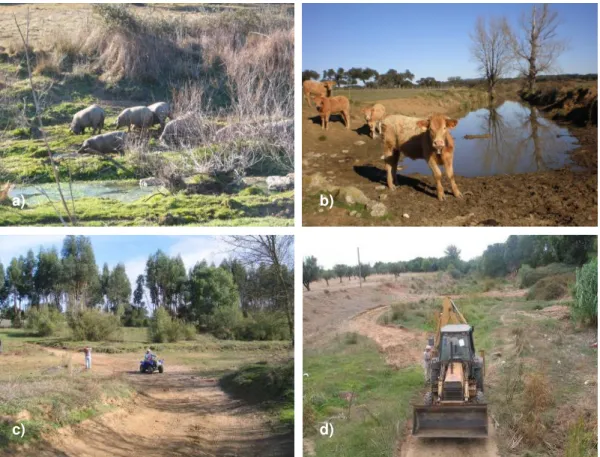 Figure 3. The cultural significance of dry riverbeds: cattle pasture (a, b), recreation place (c) and sediment  extraction/vehicles crossing (d)
