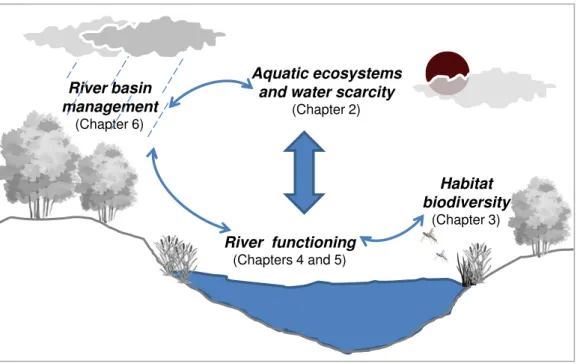Figure 4. Illustration of the link between the themes discussed in each chapter of the thesis