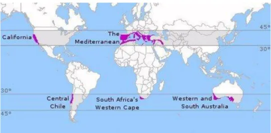 Figure 2. Map of the distribution of mediterranean climate over the world. 