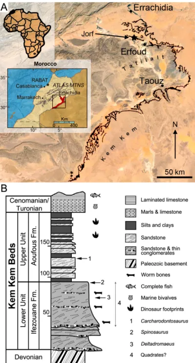 Fig 1. Geographical location and stratigraphy of the Kem Kem beds. A, Location of Morocco (in black) in Africa (left corner), the Kem Kem and Tafilalt regions (in red) in Morocco (middle left), and the Kem Kem beds (in black) in the Kem Kem plateau (right)