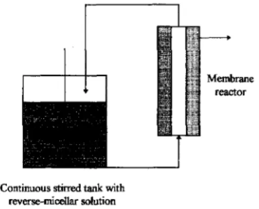 Fig.  3.  Continuous  reaction  and  separation  in  reversed  micelle/membrane  systems