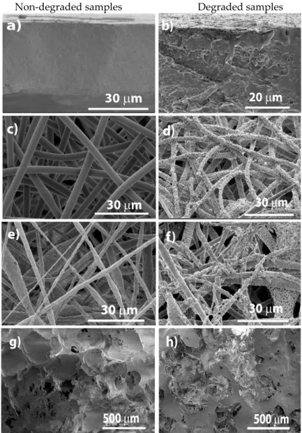 Figure 2. Poly(3-hydroxybutyrate-co-hydroxyvalerate) (PHBV) and PHBV/cobalt ferrite (CFO) films,  scaffolds and fibers after 1, 2, 4 and 6 weeks immersion in simulated body fluid (SBF) at 37 °C