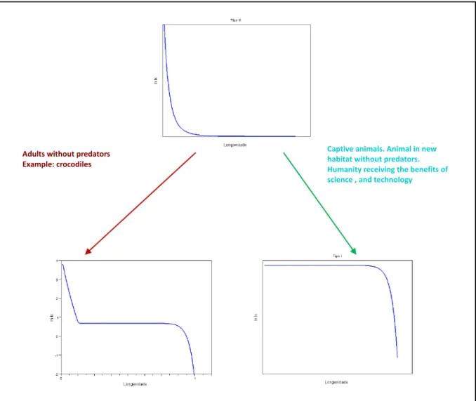 Figure 6.2. Diagrammatic representation of changes of  survivorship curve type III into other types