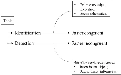 Figure 1. Dual process account of congruency and incongruency benefits, in  identification and detection tasks (LaPointe et al., 2013)