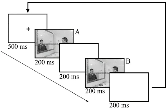 Figure 3. Flicker task, specifically the 400ms condition