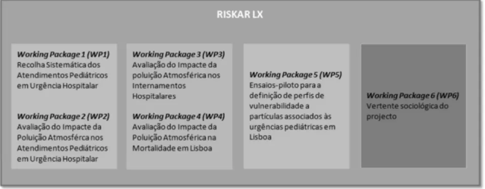 Figura 16: Estrutura do projecto RISKAR LX 
