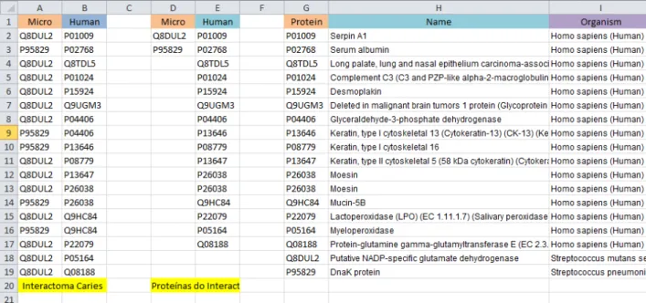 Figura  5:  Exemplo  da  informação  organizada  nas  três  tabelas  elaboradas  que  posteriormente  serão utilizadas para a visualização do Interactoma (estas tabelas serão expostas em pormenor  posteriormente com os resultados) 