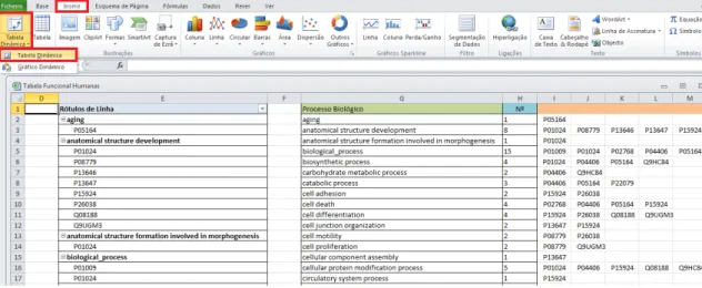 Figura 11:  Ferramentas do Excel selecionadas para a elaboração da tabela dinâmica. 