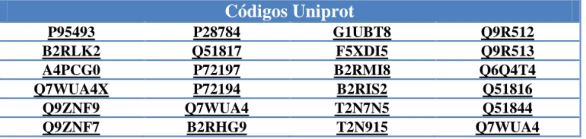 Tabela  1-  Códigos  Uniprot  correspondentes  a  proteínas  gingipains  produzidas  pela  espécie  Porphyromonas gingivalis  Códigos Uniprot  P95493  P28784  G1UBT8  Q9R512  B2RLK2  Q51817  F5XDI5  Q9R513  A4PCG0  P72197  B2RMI8  Q6Q4T4  Q7WUA4X  P72194  