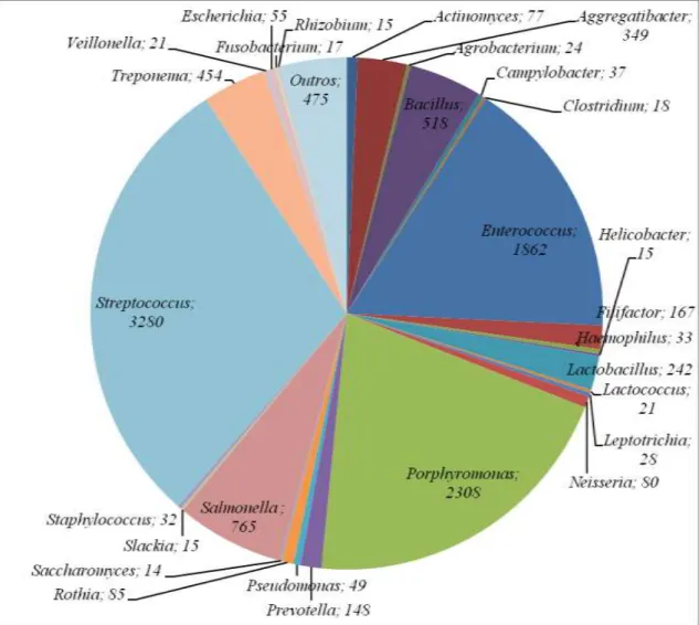 Figura  7-  Número  de  proteínas  microbianas  distribuídas  por  género  microbiano  presentes  na  cavidade oral que o OralInt v2.0 analisou