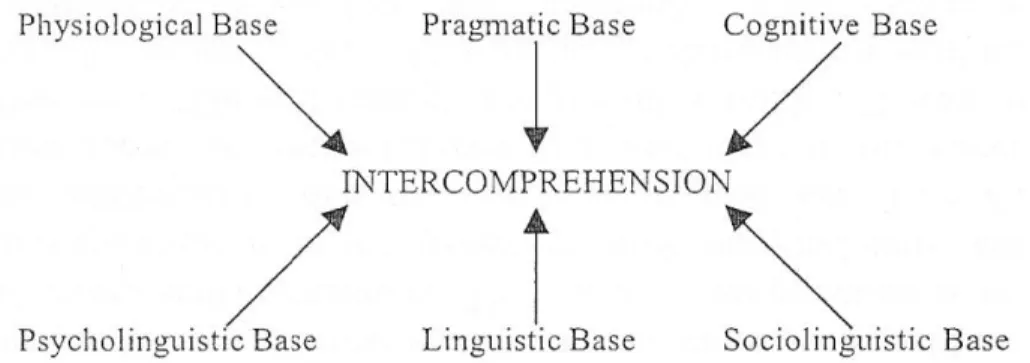Figura 6 – Componentes do “Modular Intercomprehension Model” (Pencheva &amp; Shopov, 2003: 61) 