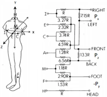 Figure 2.5: Leads and electrode placement of the corrected orthogonal configuration (from MacLeod and Birchler (2014)