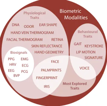 Figure 3.1: The world of biometrics: currently used traits for biometric recognition (based on information from Bolle et al