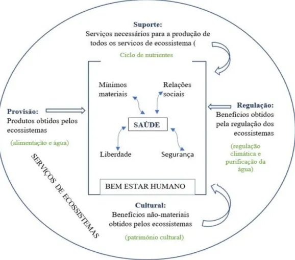 Figura 14: Serviços ecossistémicos proporcionados pela infraestrutura verde. Fonte: Adaptado de  Corvalan, Hales &amp; McMichael (2005)