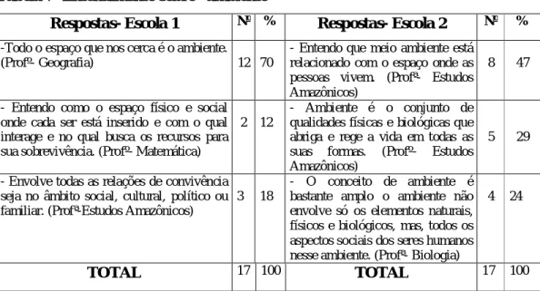 Tabela 7- Entendimento sobre “ambiente” 