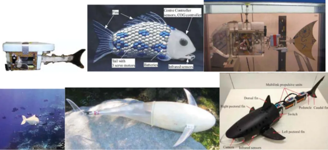 Figura 2.12: Exemplos de BUV Subcarangiform/Carangiform - Es- Es-sex MT 1 Robotic Fish (em cima, à esquerda), EsEs-sex G9 Robotic Fish (em cima, ao centro), NAF I (em cima, à direita), SoFi (em baixo, à esquerda), UC-Ika 1 (em baixo, ao centro) e Robotic S