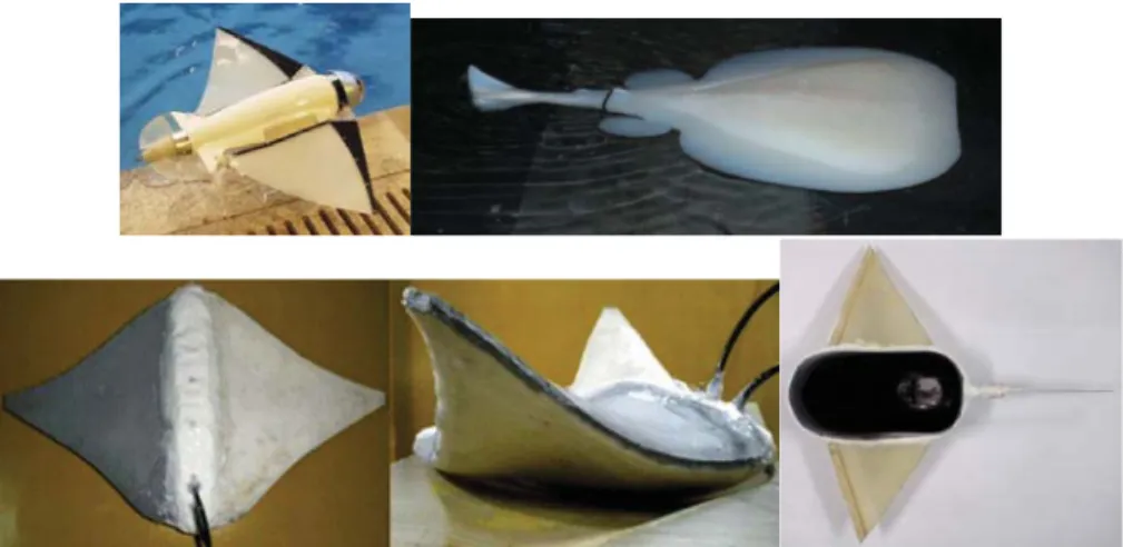 Figura 2.15: Exemplos de BUV Rajiform - BHRay (em cima, à esquerda), Raybot 3.3 (em cima, à direita), Robo-Ray II (em baixo, à esquerda) e Micro Biomimetic Manta Ray Robot Fish (em baixo, à