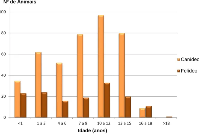 Gráfico  2.  Distribuição  dos  canídeos  e  felídeos  observados  durante  o  estágio  por  grupos  etários (frequência absoluta; N=561)