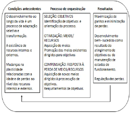 Figura 2. Modelo de otimização seletiva por compensação de Baltes e Baltes, adaptado de Fonseca  (2005, p