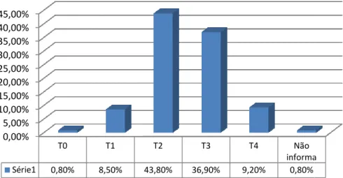 Gráfico nº 