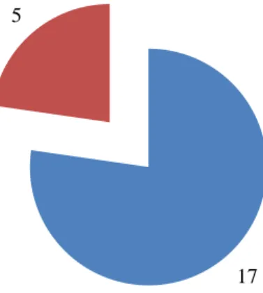Gráfico XII 