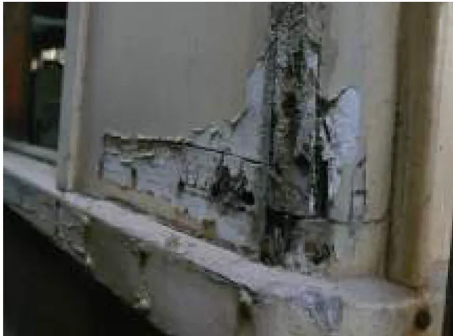 Fig. 8 - A gap on the wooden support which must be consolidated. 