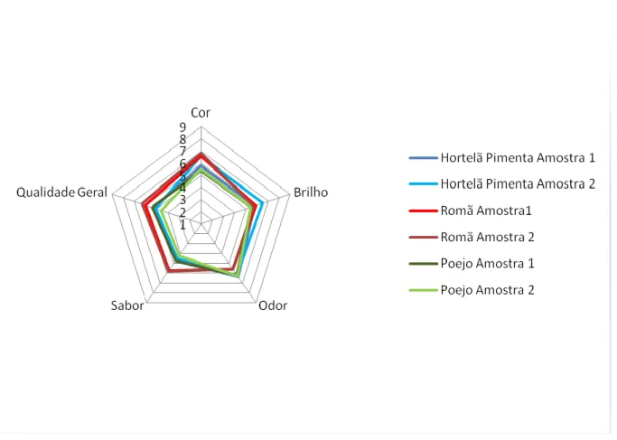Figura 4 – Gráfico de rede com os resultados da avaliação sensorial dos licores segundo uma escala hedónica 