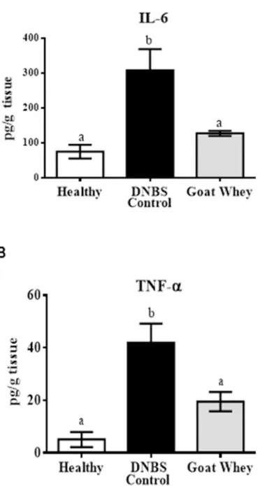 Fig 2. Effects of goat whey on pro-inflammatory cytokines as measured by ELISA. Distal colon tissue samples were cultured overnight