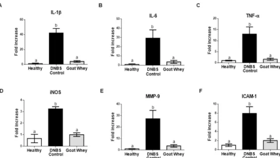 Fig 3. Effects of goat whey on the gene expression of pro-inflammatory cytokines as measured by RT- RT-qPCR