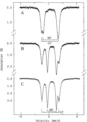 Fig. 3 shows the Mo¨ssbauer spectra of the oxidized P. denitri- denitri-ficans peroxidase recorded with the presence of a 50-mT 2 field applied parallel (spectrum A) and perpendicular (spectrum B) to the g -beam and with an 8-T parallel field (spectrum C).