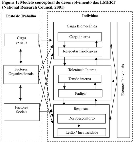 Figura 1: Modelo conceptual do desenvolvimento das LMERT  (National Research Council, 2001) 