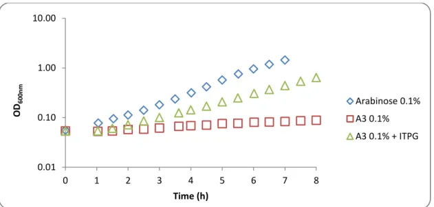 Figure  3.9  -  Growth  of  B.  subtilis  IQB676  (ΔmsmX::cat  ΔamyE::Pspank(hy)-msmX(Glu3Ser,  Ile364Ser)) in CSK medium using arabinose and arabionotriose as the sole carbon and energy  source