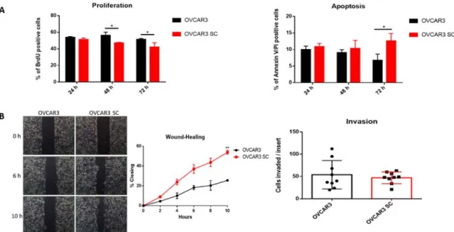 Figure 3. Truncated O-glycans affect the biological behaviour of OVCAR3 cells. (A) Flow cytometry analysis of cell proliferation (left) and apoptosis (right), quantified by BrdU and Annexin V/Pi positive cells, respectively