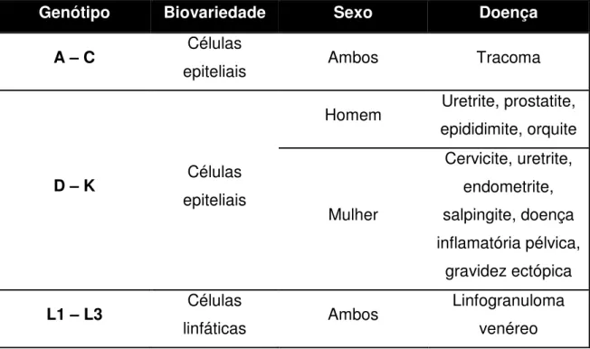 Tabela  2-  Relação  entre  genótipo,  biovariedade,  sexo  acometido  e  doenças  causadas  pela infecção por C