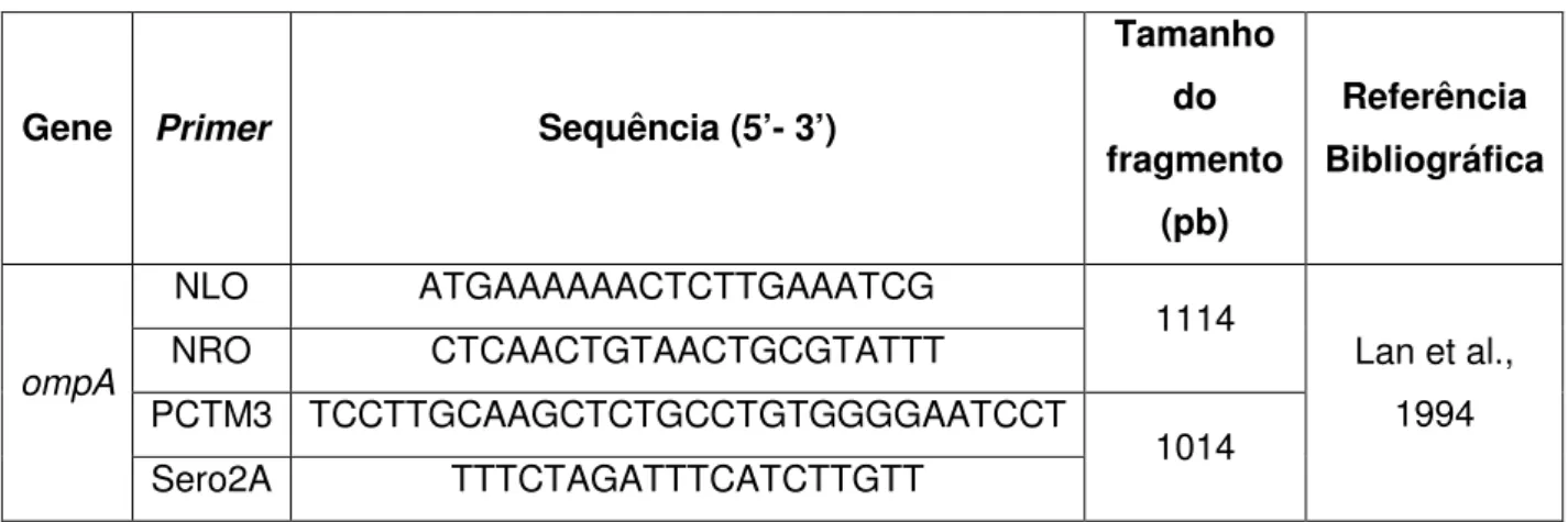 Tabela 2- Primers utilizados na amplificação do gene ompA por nested-PCR. 