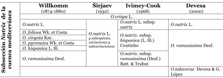 Tabla 1 -  Clasificación de las especies de la subsección Natrix para la cuenca mediterránea según diferentes  autores 