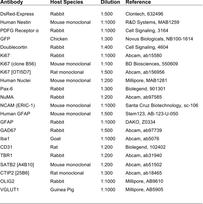 Table 3. Antibodies used for immunofluorescence 